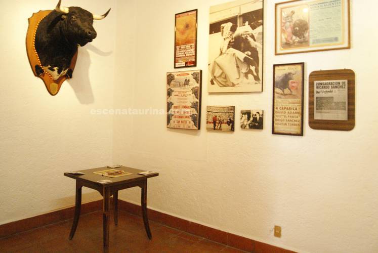Bullfighting museum Francia Aguascalientes Hotel