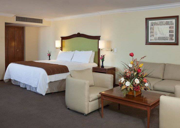 MASTER SUITE Francia Aguascalientes Hotel Aguascalientes MASTER SUITE Francia Aguascalientes Hotel Aguascalientes