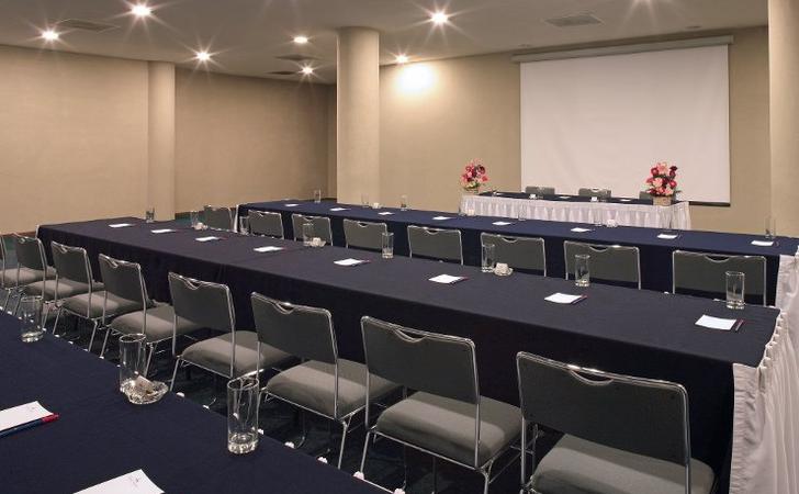 Salón Francia 2 Hotel Francia Aguascalientes Salón Francia 2 Hotel Francia Aguascalientes